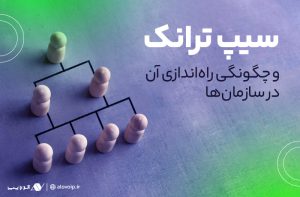 چگونگی راهاندازی سیپ ترانک در سازمانها